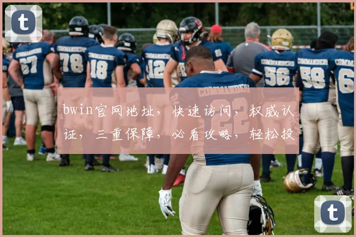 bwin官网地址，快速访问，权威认证，三重保障，必看攻略，轻松投注