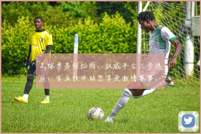 足球票务轻松购，权威平台三步选座，专业软件助您享受激情赛事，快速抢票