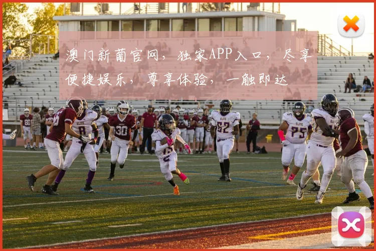 澳门新葡官网，独家APP入口，尽享便捷娱乐，尊享体验，一触即达
